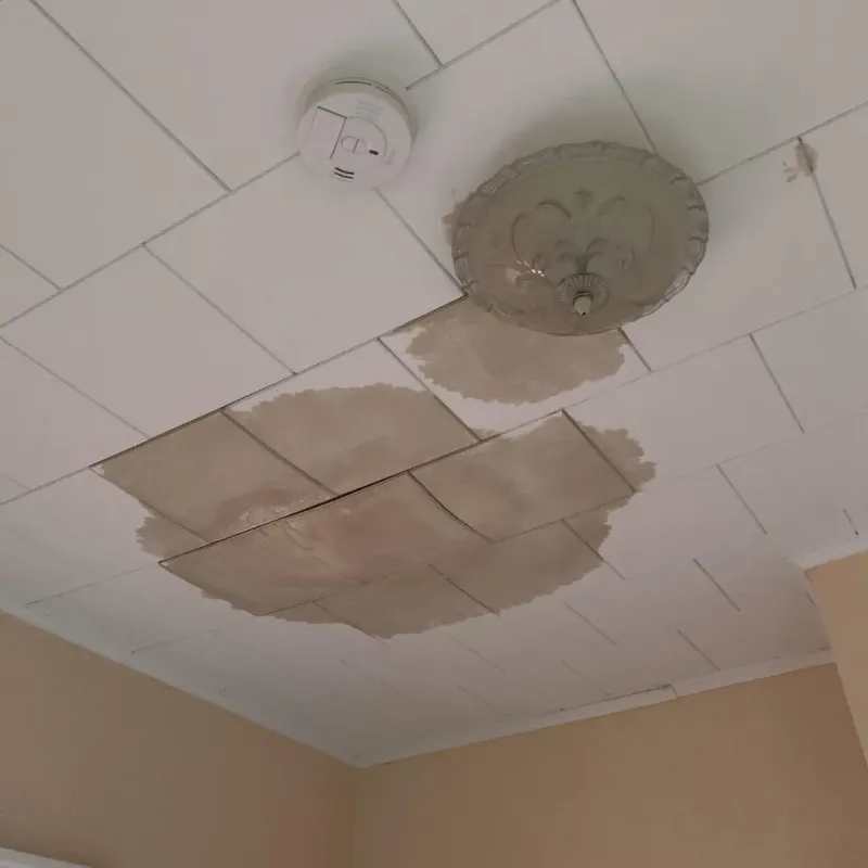 Ceiling Water Damage Repair in Murillo Colonia, TX