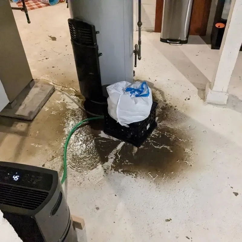 Sewage Backup Cleanup Service in Murillo Colonia, TX